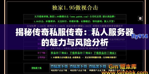 揭秘传奇私服传奇：私人服务器的魅力与风险分析